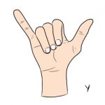 Sign Language And The Alphabet,the Letter Y Stock Photo