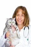 Female Vet Holds  Cat Stock Photo