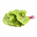 Bunch Of Green Leaf Beet Or Mangold On White Background Stock Photo