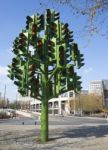 Confusing Traffic Lights Stock Photo