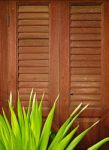 Wood Door Retro Style Stock Photo