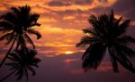 Tropical Beach On Sunset With Silhouette Palm Trees Stock Photo