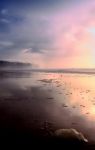 Early Morning Beach Stock Photo