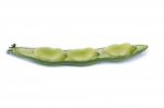 Broad Beans Stock Photo