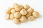 Macadamia Nuts Stock Photo