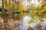 Fall Colors In Forest With Pond Stock Photo