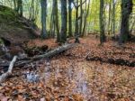 Scenic View Of The Ashdown Forest In Sussex Stock Photo