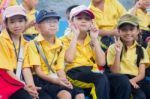 Primary Students Visit The Zoo, In The Jul 27, 2016. Bangkok Thailand Stock Photo