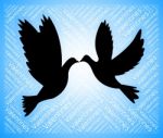 Valentines Doves Represents Boyfriend Lover And Romance Stock Photo