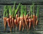 Fresh Carrot On Wood Texture Stock Photo