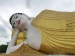 Buddha Statue Stock Photo