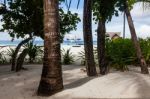 Seaplane Among The Palm Trees Of Maldives, June 30, 2016 Stock Photo