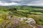 Cheviot Hills Stock Photo