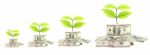 Plants Growing By Money Stock Photo