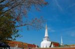 Phra Borom Mathat Pagoda Stock Photo