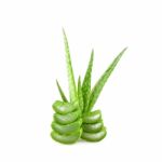 Slice Aloe Vera On White Background Stock Photo