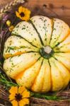 Harvested Pumpkin In A Box With Fall Leaves, Hay And Flowers Stock Photo