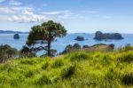 Cathedral Cove Near Hahei In New Zealand Stock Photo