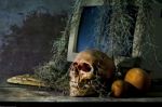 Still Life With A Skull Stock Photo