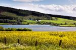 Arable Farming Field Near Munlochy Bay Stock Photo