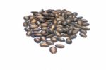 Black Melon Seeds Stock Photo