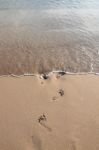 Foot Steps Erased By Wave Stock Photo