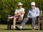 Isle Of Thorns, Sussex/uk - September 11 : Spectators At A Lawn Stock Photo