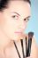 Woman And Cosmetic Brush