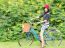 Smiling Girl Riding A Bicycle In The Park