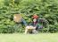 Girl With A Bicycle Rests On A Grass