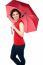 Beautiful Woman Holding A Red Umbrella