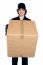 Good Looking Woman Holding Up A Cardboard Box