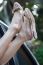 Woman Relaxing In Her Car