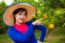 Gardener Girl In Orange Garden, North Of  Thailand