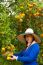 Gardener Girl Picking Fresh Orange