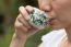 Asian Woman Drinking Tea