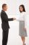 Businessman And Businesswoman Shaking Hands