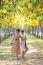 Portrait Of Couples Beautiful Asian Woman Standing In Blooming F