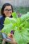 Young Woman Harvesting Clean Organic Vegetable In Home Garden Fa