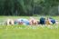 Happy Young Family Lying On Grass