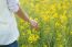 Beautiful Young Woman Enjoying Summer In A Field