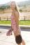 Beautiful Young Woman Looking At Camera With Skateboard