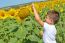 Kid And Sunflowers