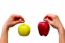 Hands Holding Apples