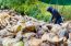 Farmer Cutting Coconut Shell