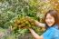 Asian Women Hold Or Presenting Fruits, Rambutan Bunch, Organic F