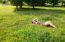 Young Beautiful Brunette Lying On The Grass