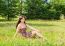 Young Beautiful Brunette Sitting On The Grass