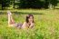 Girl Lying On The Grass In The Park