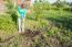 Young Woman Weeding Potato Sprouts Using Hoes